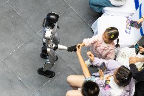 Unitree Robot