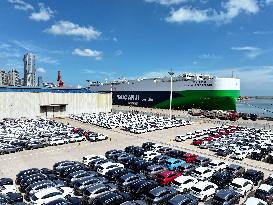 China Lianyungang Port Export Vehicles