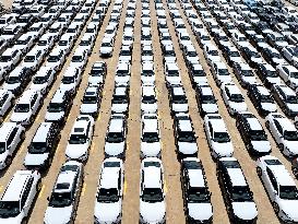 China Lianyungang Port Export Vehicles
