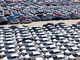 China Lianyungang Port Export Vehicles