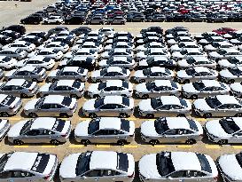 China Lianyungang Port Export Vehicles