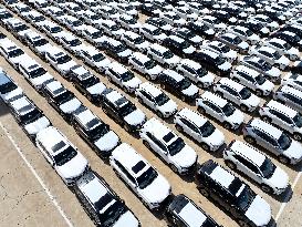 China Lianyungang Port Export Vehicles