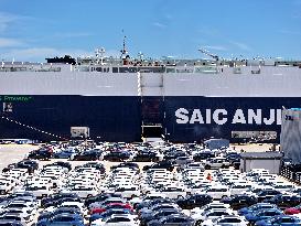 China Lianyungang Port Export Vehicles