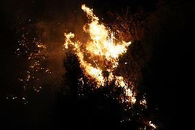 Night Of Fires In Sicily