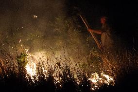 Night Of Fires In Sicily