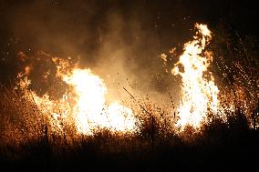 Night Of Fires In Sicily