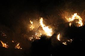 Night Of Fires In Sicily