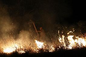 Night Of Fires In Sicily