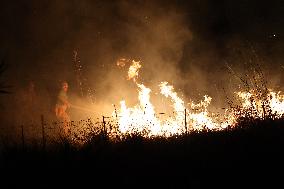 Night Of Fires In Sicily