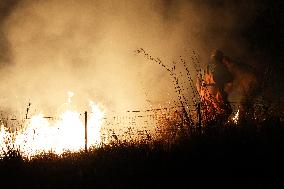 Night Of Fires In Sicily