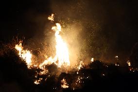 Night Of Fires In Sicily