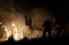 Night Of Fires In Sicily