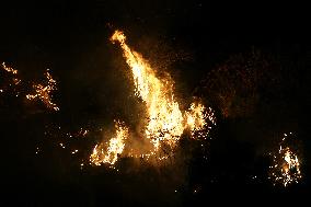 Night Of Fires In Sicily