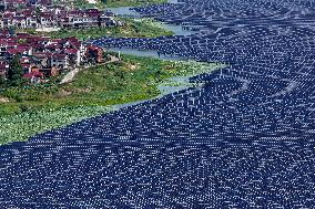 Largest Single-unit Affordable 260MW FISHER-Solar Hybrid Project PV Power Station in East China