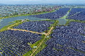 Largest Single-unit Affordable 260MW FISHER-Solar Hybrid Project PV Power Station in East China