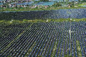 Largest Single-unit Affordable 260MW FISHER-Solar Hybrid Project PV Power Station in East China