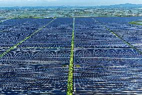 Largest Single-unit Affordable 260MW FISHER-Solar Hybrid Project PV Power Station in East China