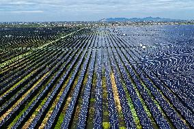 Largest Single-unit Affordable 260MW FISHER-Solar Hybrid Project PV Power Station in East China