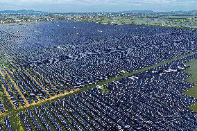 Largest Single-unit Affordable 260MW FISHER-Solar Hybrid Project PV Power Station in East China