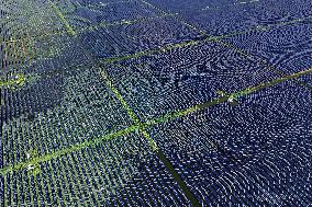 Largest Single-unit Affordable 260MW FISHER-Solar Hybrid Project PV Power Station in East China