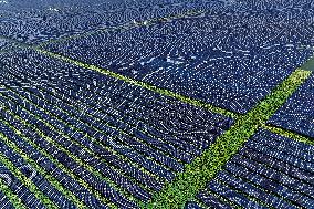 Largest Single-unit Affordable 260MW FISHER-Solar Hybrid Project PV Power Station in East China