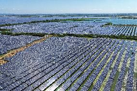 Largest Single-unit Affordable 260MW FISHER-Solar Hybrid Project PV Power Station in East China