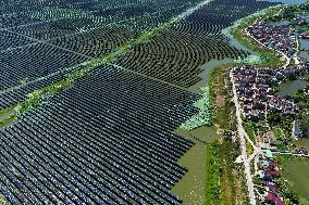 Largest Single-unit Affordable 260MW FISHER-Solar Hybrid Project PV Power Station in East China