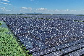 Largest Single-unit Affordable 260MW FISHER-Solar Hybrid Project PV Power Station in East China