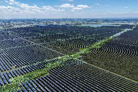 Largest Single-unit Affordable 260MW FISHER-Solar Hybrid Project PV Power Station in East China