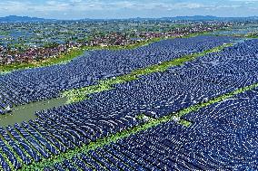 Largest Single-unit Affordable 260MW FISHER-Solar Hybrid Project PV Power Station in East China