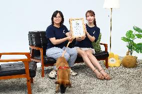 Japanese Entertainer Mikami Yua