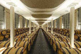 Illustration - Chateau Pavie