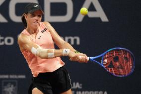 TENNIS - Internazionali di Tennis - 36° Palermo Ladies Open