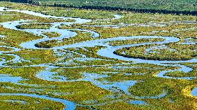 Naolihe River Wetland in Shuangyashan