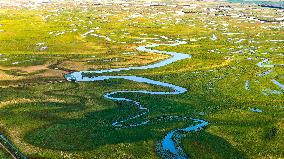 Naolihe River Wetland in Shuangyashan