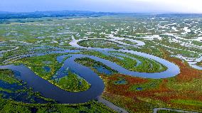 Naolihe River Wetland in Shuangyashan