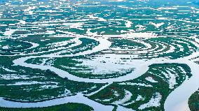 Naolihe River Wetland in Shuangyashan