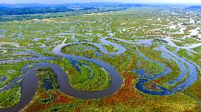 Naolihe River Wetland in Shuangyashan