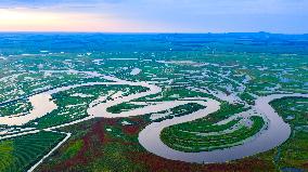 Naolihe River Wetland in Shuangyashan