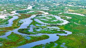 Naolihe River Wetland in Shuangyashan