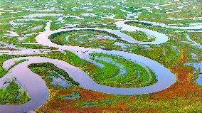 Naolihe River Wetland in Shuangyashan
