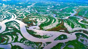 Naolihe River Wetland in Shuangyashan