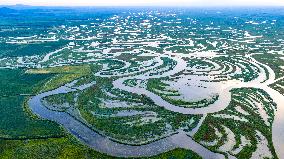 Naolihe River Wetland in Shuangyashan