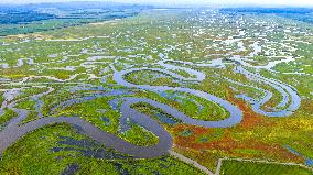Naolihe River Wetland in Shuangyashan