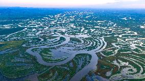 Naolihe River Wetland in Shuangyashan