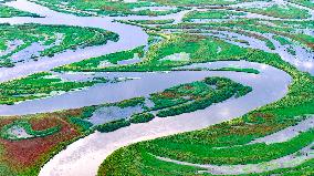 Naolihe River Wetland in Shuangyashan