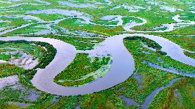 Naolihe River Wetland in Shuangyashan