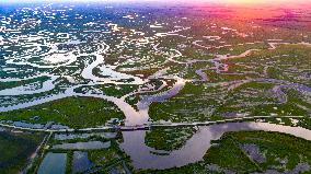 Naolihe River Wetland in Shuangyashan