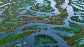 Naolihe River Wetland in Shuangyashan