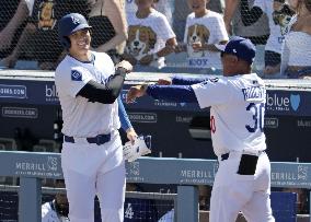 Baseball: Twins vs. Dodgers